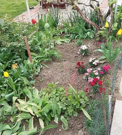Casa Raza De Soare Клуж-Напока