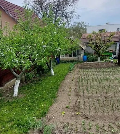 Casa Raza De Soare Клуж-Напока